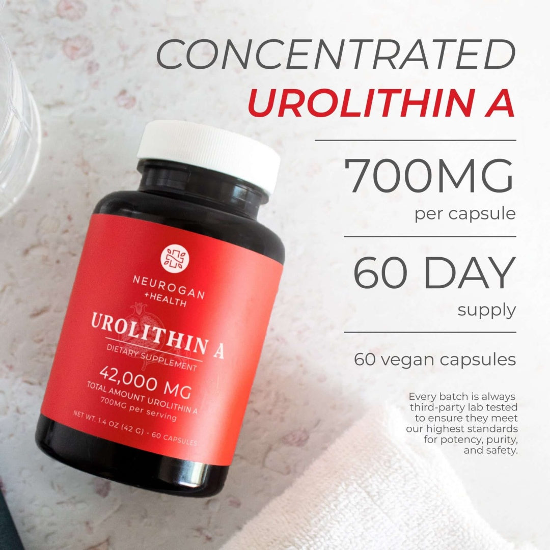 Urolithin A Capsules