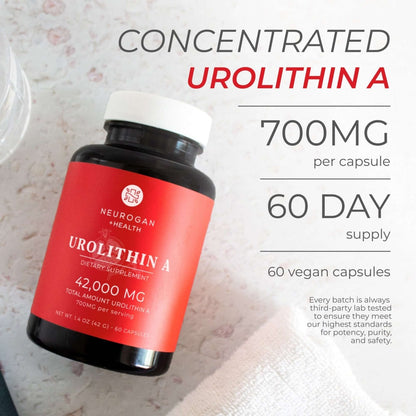 Urolithin A Capsules